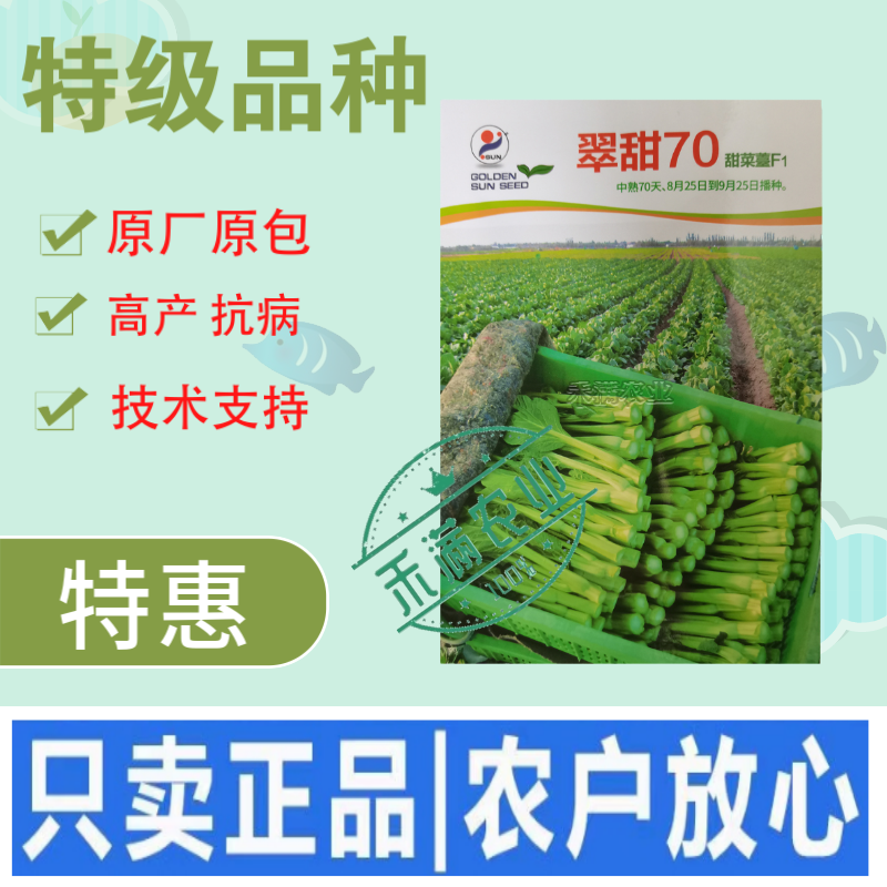 基地优品翠甜白菜苔种籽50天60天70天白菜苔种子籽耐寒
