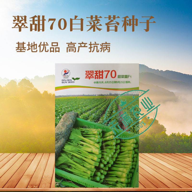基地优品翠甜白菜苔种籽50天60天70天白菜苔种子籽耐寒