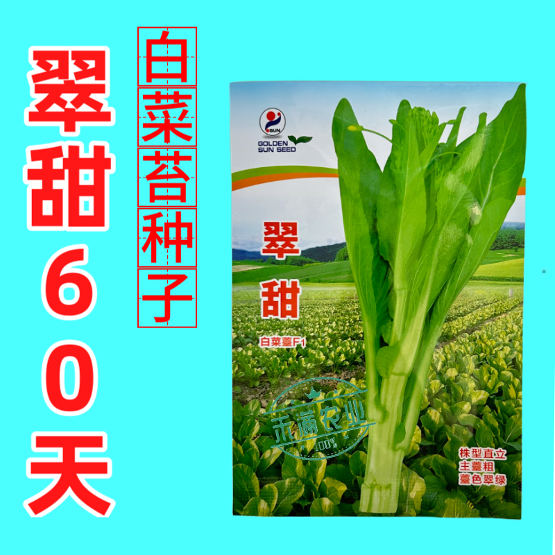 基地优品翠甜白菜苔种籽50天60天70天白菜苔种子籽耐寒