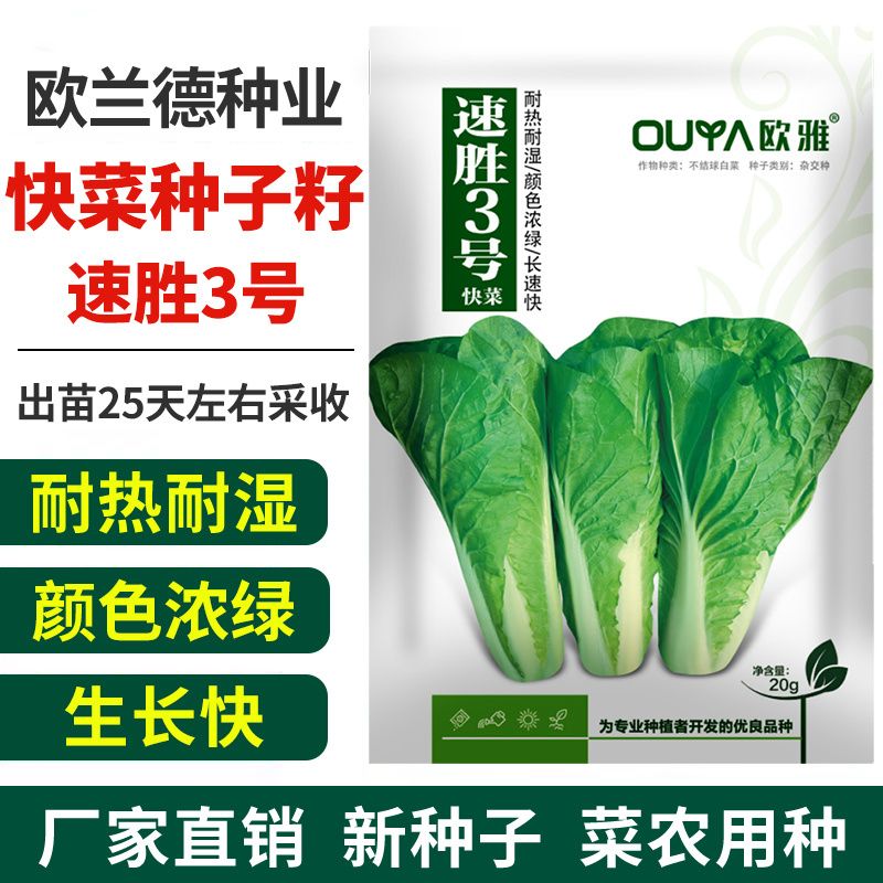 小白菜种子奶油快菜小白菜种籽耐热耐寒春夏秋冬四季蔬菜种子