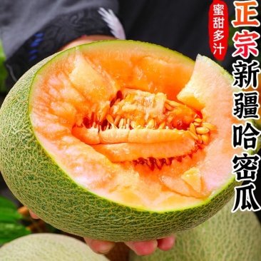 新疆哈密瓜一件代发产地直发一手货源对接各大电商平台