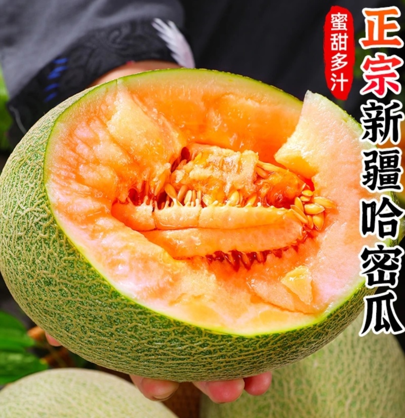 新疆哈密瓜一件代发产地直发一手货源对接各大电商平台