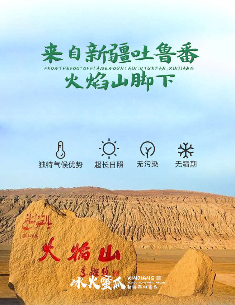 新疆哈密瓜一件代发产地直发一手货源对接各大电商平台