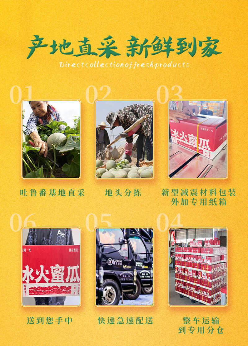 新疆哈密瓜一件代发产地直发一手货源对接各大电商平台