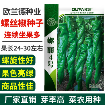 欧兰德螺丝椒种子螺丽4号薄皮辣椒籽香辣大果型陇椒辣椒种子