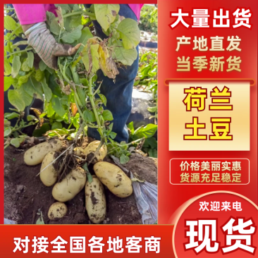 精品高次，微瑕疵，适合，学校，大集，另售，高品食堂。