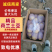 滕州大棚土豆，大青头，四两起步。荷兰代装三两起步，大量供