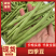 福建四季豆，每根22cm左右，原产地发货，专业代办农产品