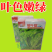特色白菜苔种子菊叶甜畅销蔬菜种子四季秋季耐寒早熟大田种籽