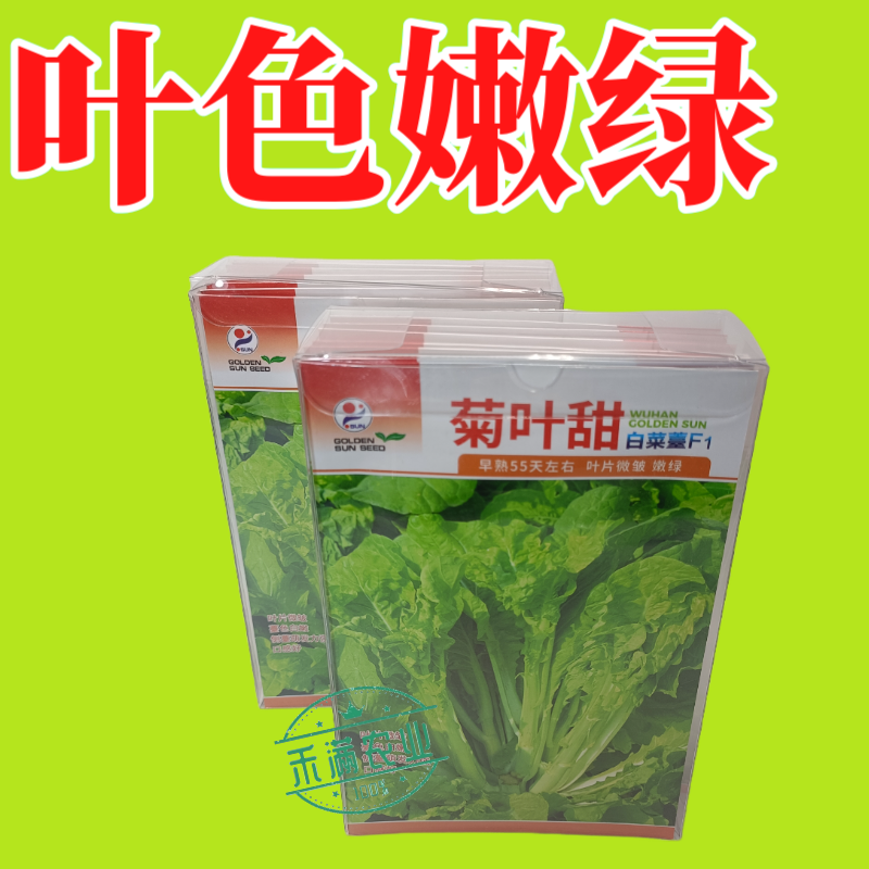 特色白菜苔种子菊叶甜畅销蔬菜种子四季秋季耐寒早熟大田种籽
