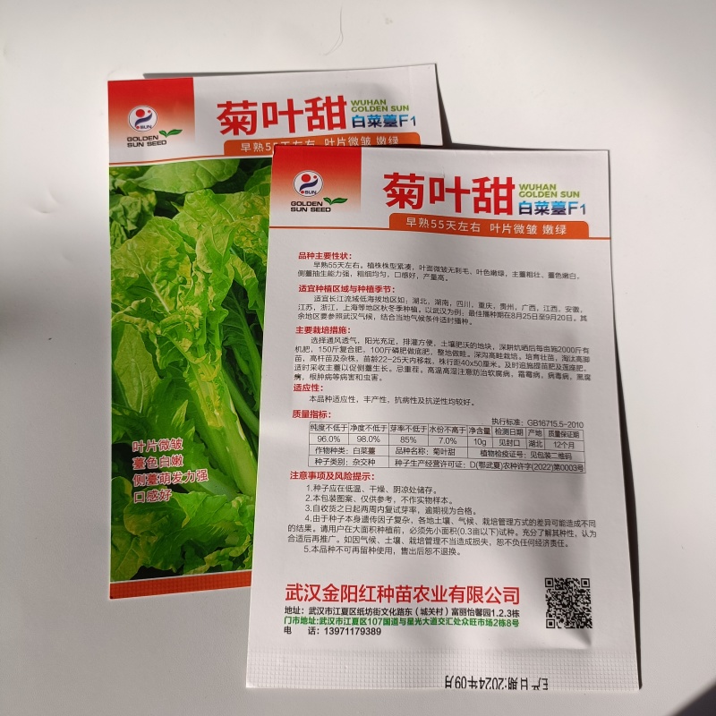 特色白菜苔种子菊叶甜畅销蔬菜种子四季秋季耐寒早熟大田种籽