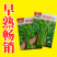 【多茬采收】金阳柳叶甜菜心种子侧芽多薹色绿优质基地早熟菜