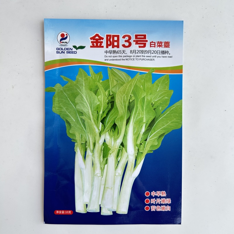 【金阳3号】65天中早熟白菜苔种子侧苔多粗细均匀耐寒能力