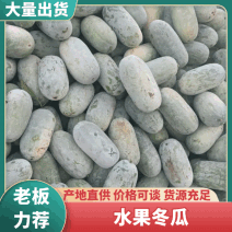 河南一水果冬瓜新鲜上市圆冬瓜产地代办代发对接全国市场