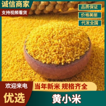 一等黄小米杂粮产地直销量大从优可礼盒可袋装