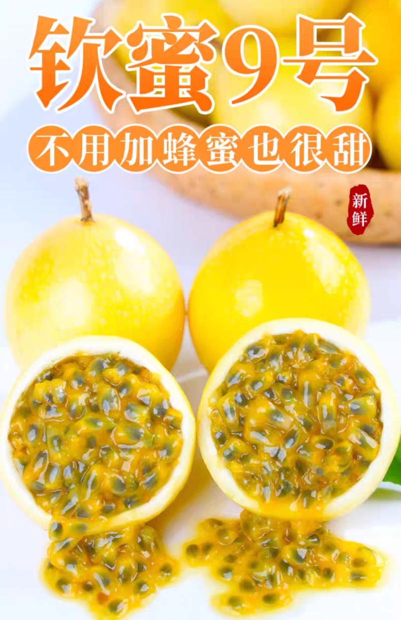 广西钦蜜9号百香果一件代发产地直发一手货源对接各大电商平