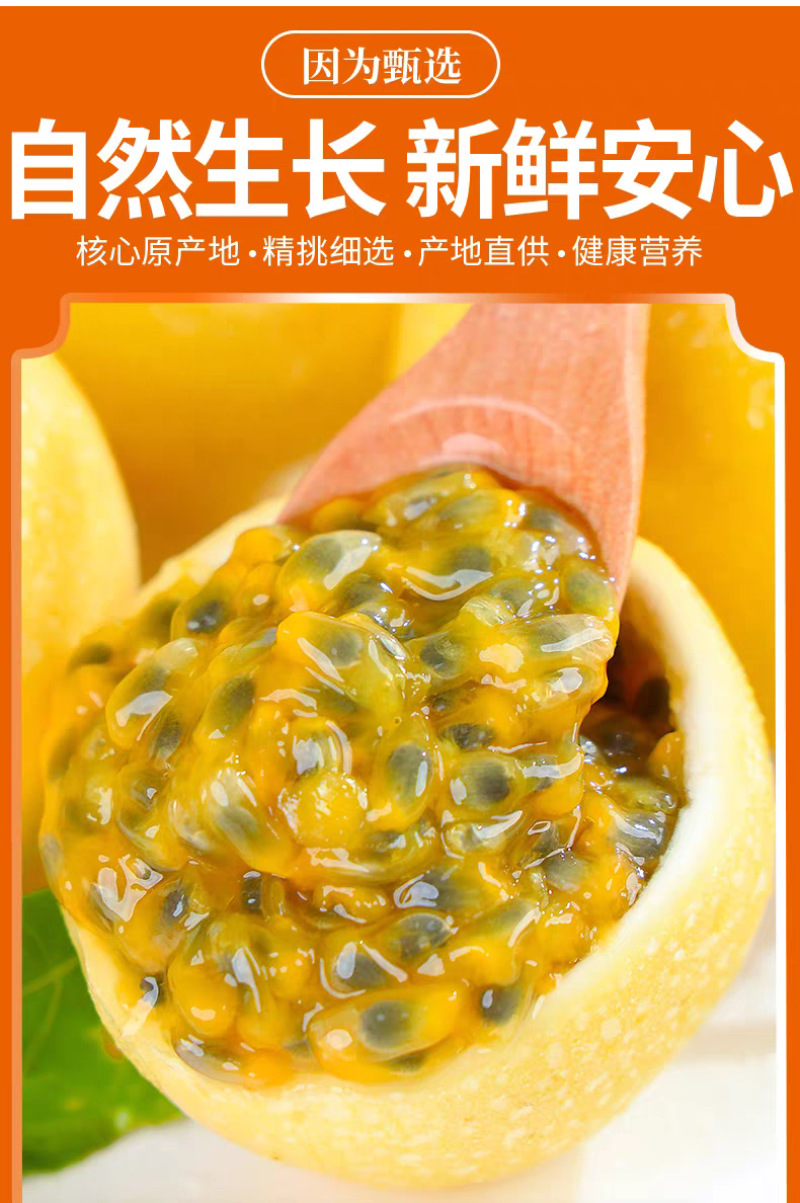 广西钦蜜9号百香果一件代发产地直发一手货源对接各大电商平