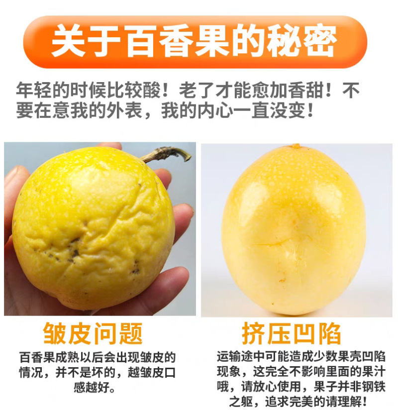 广西钦蜜9号百香果一件代发产地直发一手货源对接各大电商平