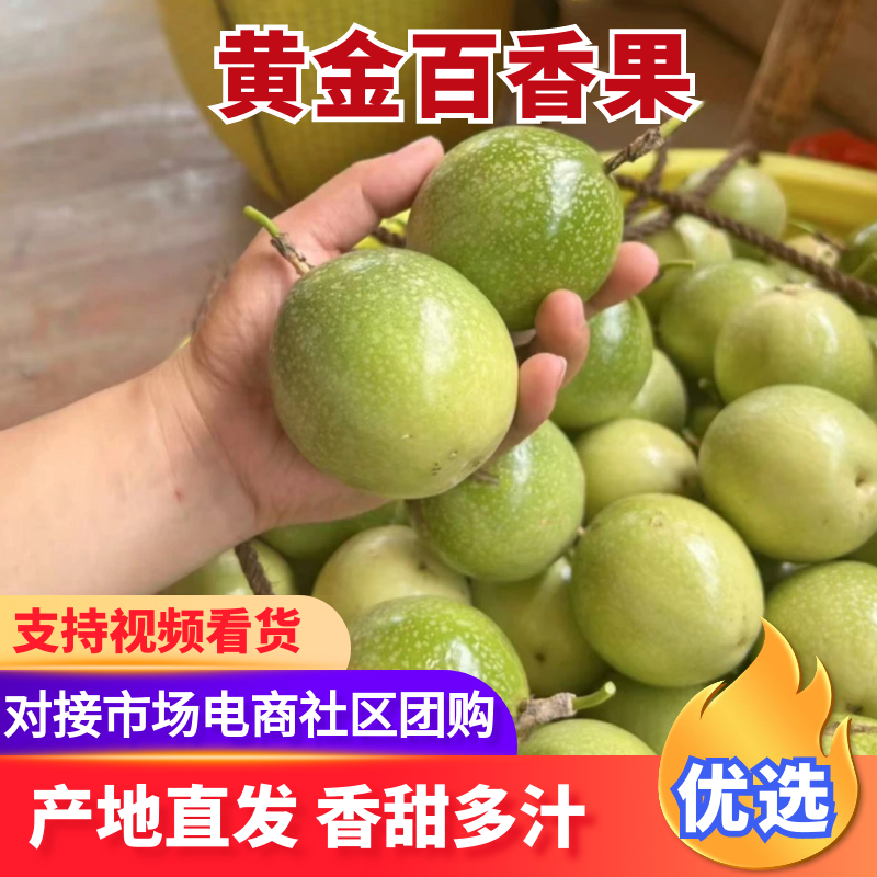 【黄金百香果】钦密9号百香果广西特产可对接全国电商商场