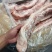 带皮五花肉条烤五花必备原材料