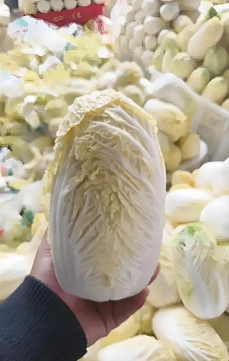 娃娃菜黄心娃娃菜产地直销保证质量全国发货
