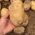 土豆沃土黄心土豆对接电商市场商超全国发货