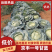 京丰1号甘蓝，质量好，适应各大批发市场，2~3公斤