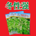 阳春三月白菜苔种子青菜苔种子越冬耐寒蔬菜种了籽四季蔬菜种