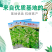 阳春三月白菜苔种子青菜苔种子越冬耐寒蔬菜种了籽四季蔬菜种
