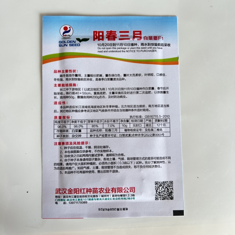 阳春三月白菜苔种子青菜苔种子越冬耐寒蔬菜种了籽四季蔬菜种