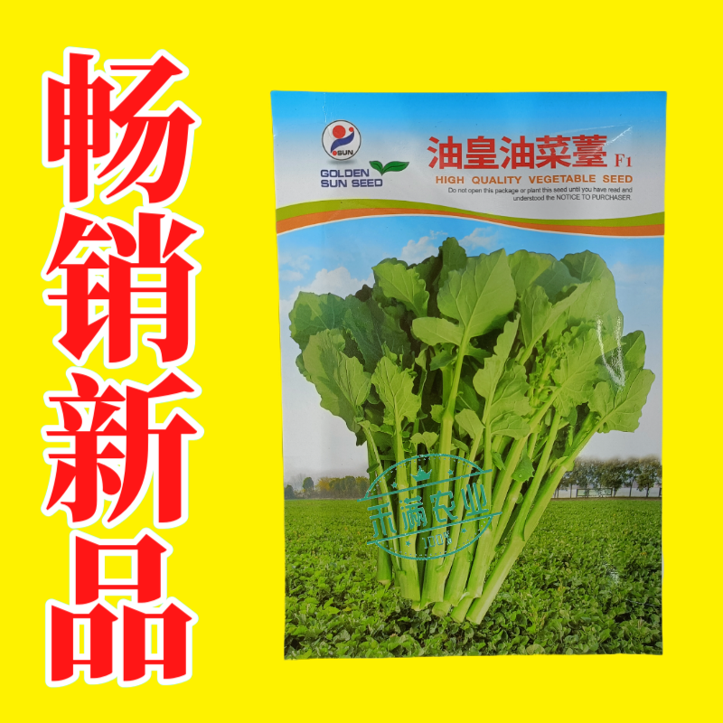 【早熟耐热】油皇油菜苔种子多茬采收家庭农家基地可播