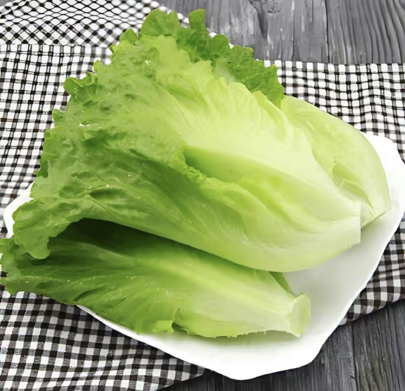 淮安生菜，当季新货新鲜现摘，产地直发品质保证，量大从优！