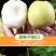 陕西精品大酥梨/口感好/甜度高/品相好/量大价优/欢迎下单
