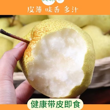 陕西精品大酥梨/口感好/甜度高/品相好/量大价优/欢迎下单