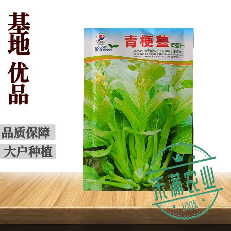 优质白菜苔种子秋季种植多茬采收菜心种籽耐寒高产抗病大田庭