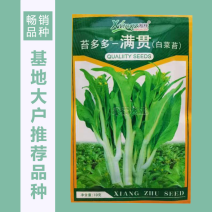 基地优品白菜苔种子小白菜苔种籽子抗病高产耐热抗寒菜薹