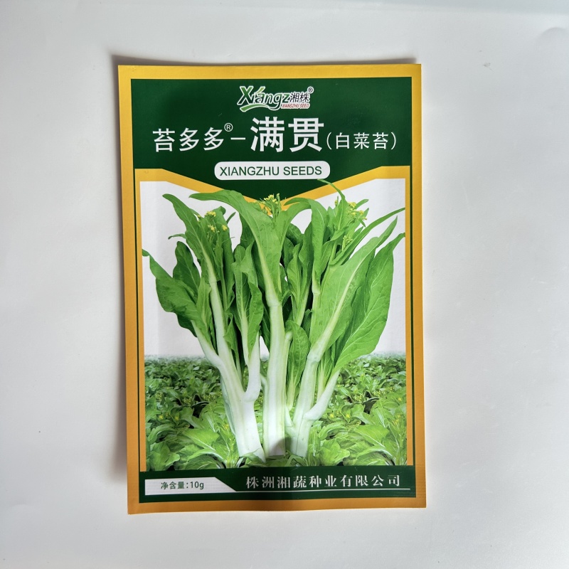 基地优品白菜苔种子小白菜苔种籽子抗病高产耐热抗寒菜薹