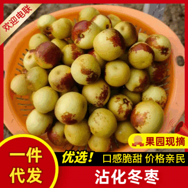 【一件代＆发】沾化冬枣电商全平台对接，淘宝，京东，抖音