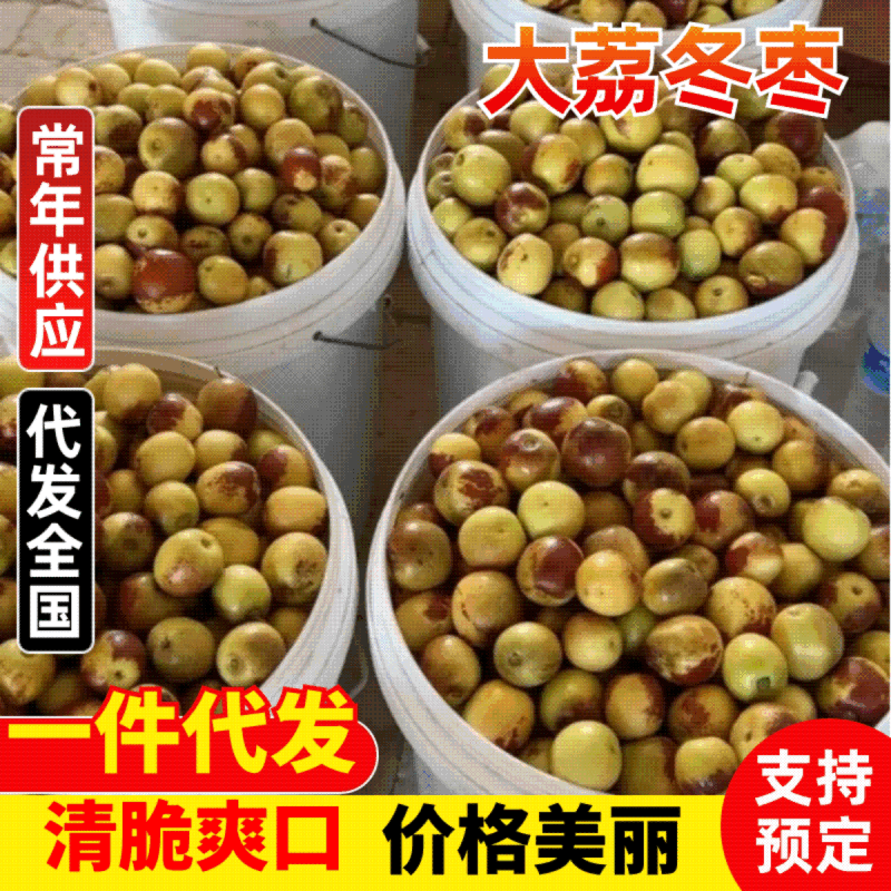 陕西大荔冬枣大量有货，对接商超市场电商社区团购一件代发