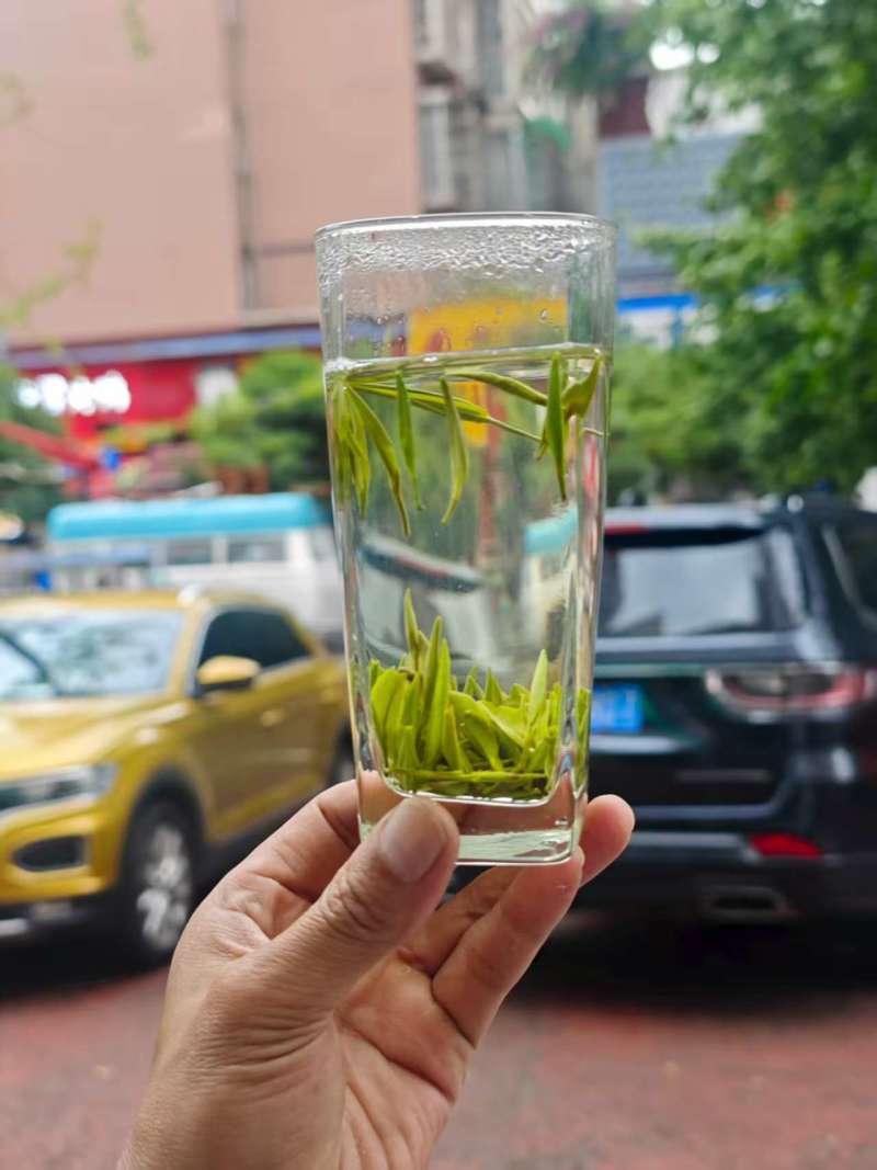 四川雅安早春明前雀舌批发零售