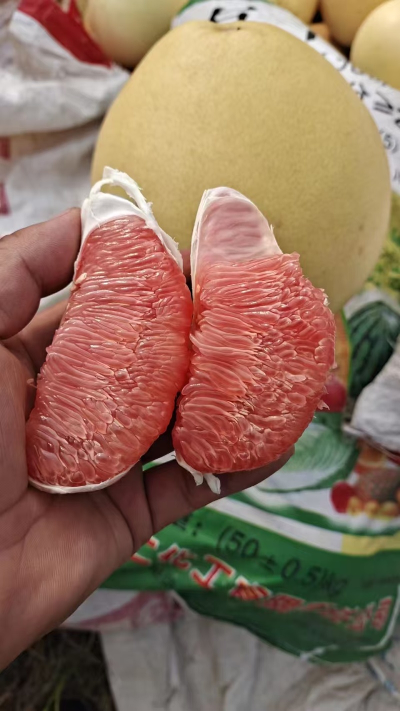 枝江蜜柚大量现货供应，规格齐全现摘现发，视频看货实力代办