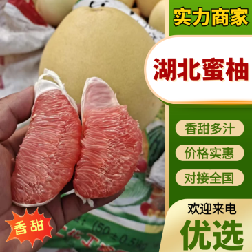 枝江蜜柚大量现货供应，规格齐全现摘现发，视频看货实力代办