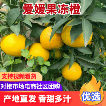 爱嫒果冻橙
