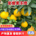 爱嫒果冻橙
