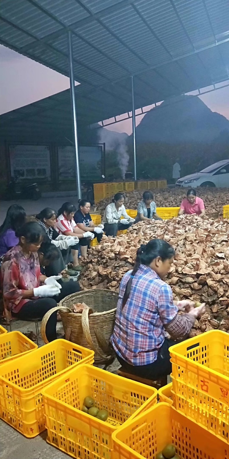 广西红心猕猴桃产区直发一手货源价钱实惠