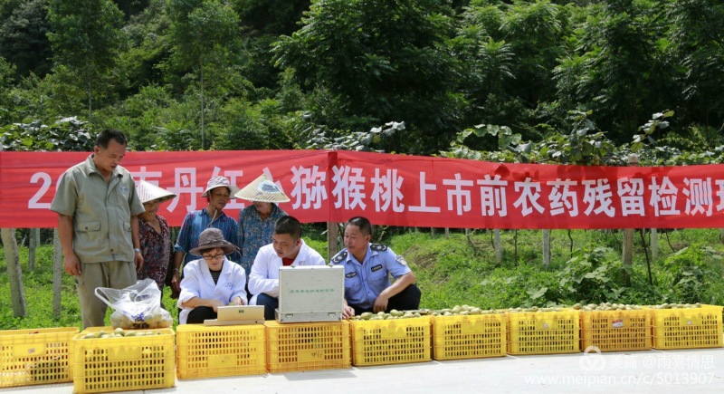广西红心猕猴桃产区直发一手货源价钱实惠