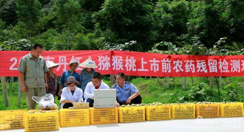 红心猕猴桃广西产区直发保质保量供应
