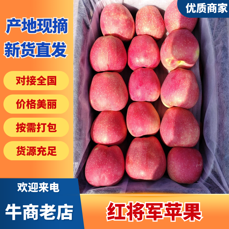 辽宁红将军苹果，全国发货，保质保量，诚信经营，可视频看货