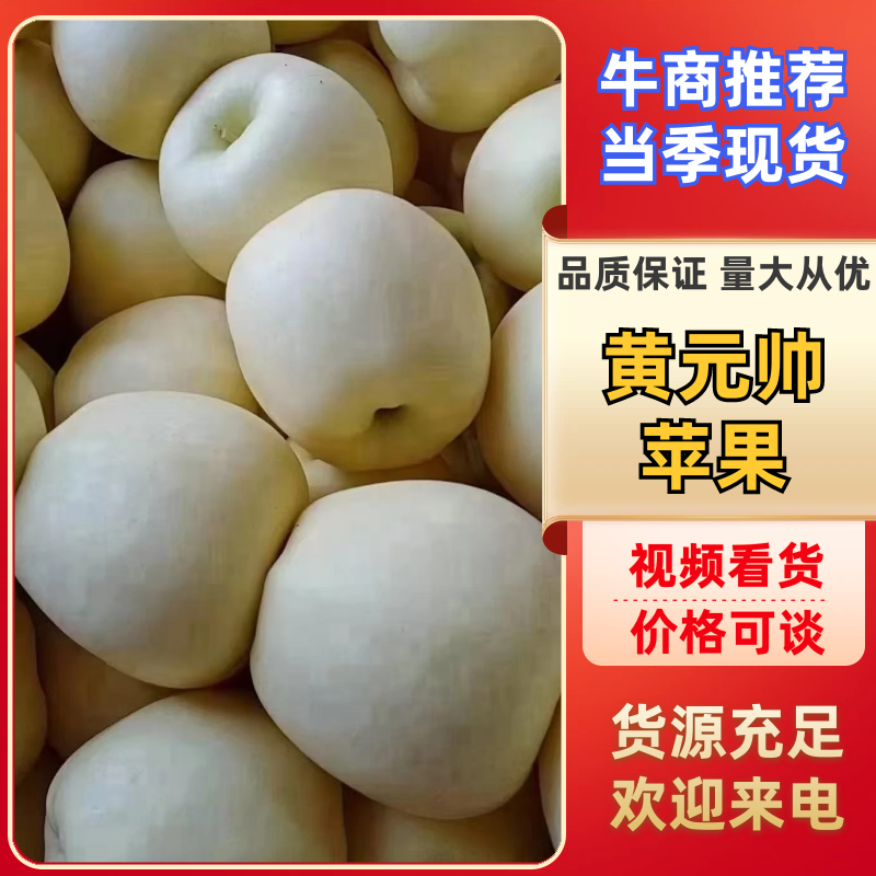 黄元帅大量有货，产地直发，品质保证，量大从优，欢迎来电
