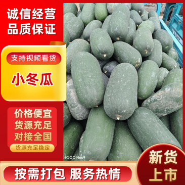 小冬瓜，新鲜现摘当季现货，基地直发品质保证，量大从优！